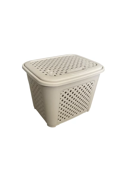 Rattan Szennyestartó Bézs ER86