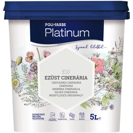 Platinum Ezüst Cinerária