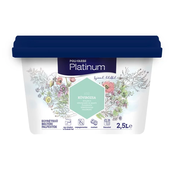 Platinum Kövirózsa