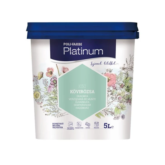 Platinum Kövirózsa